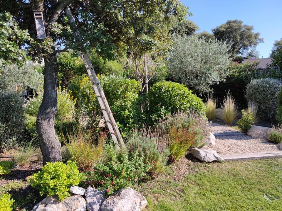 Bed and breakfast La Mathilde Villeneuve-lès-Avignon